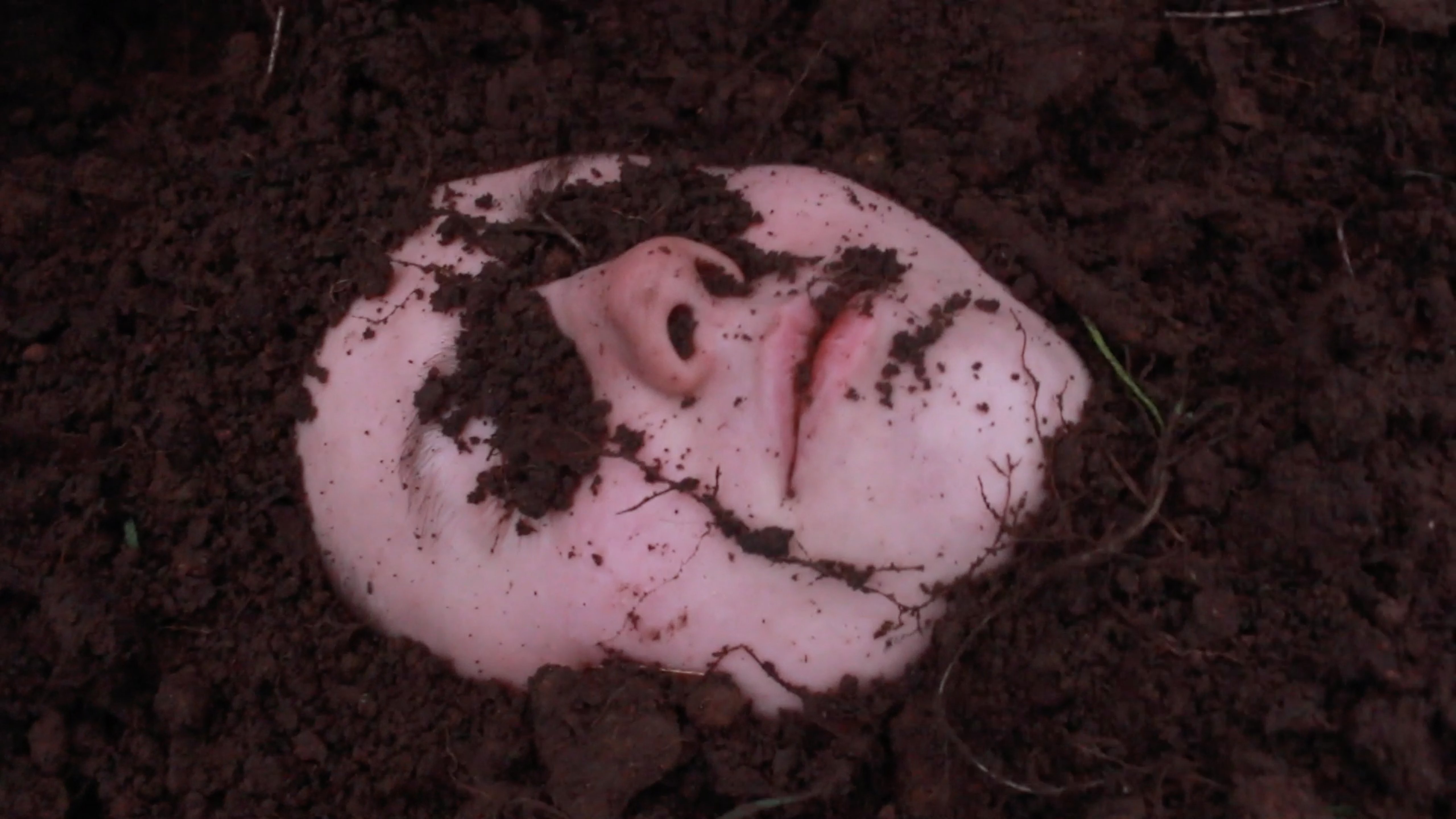 Screenshot 2020-02-06 at 13.56.40.png